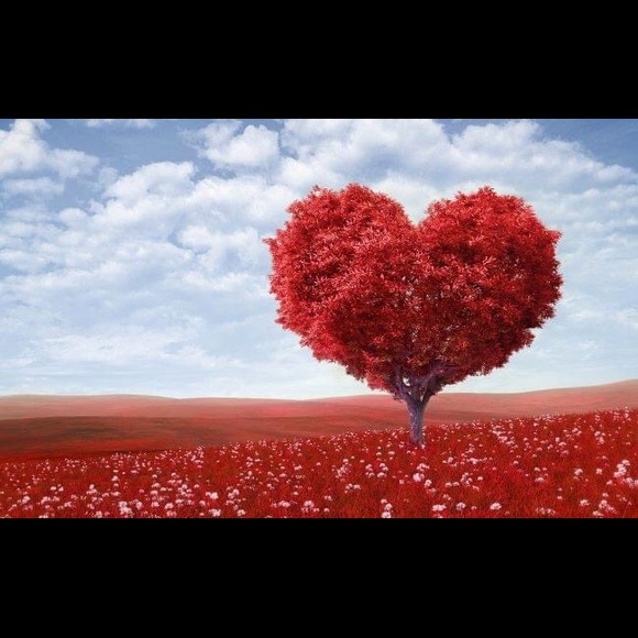 Closing my closet ❣️ - Picture 1 of 1